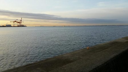 今朝も活性高し。テンポよく8匹ゲット。